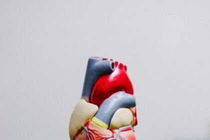 kenny-eliason-MEbT27ZrtdE-unsplash