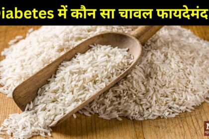 Diabetes me kaun sa chawal khaiye