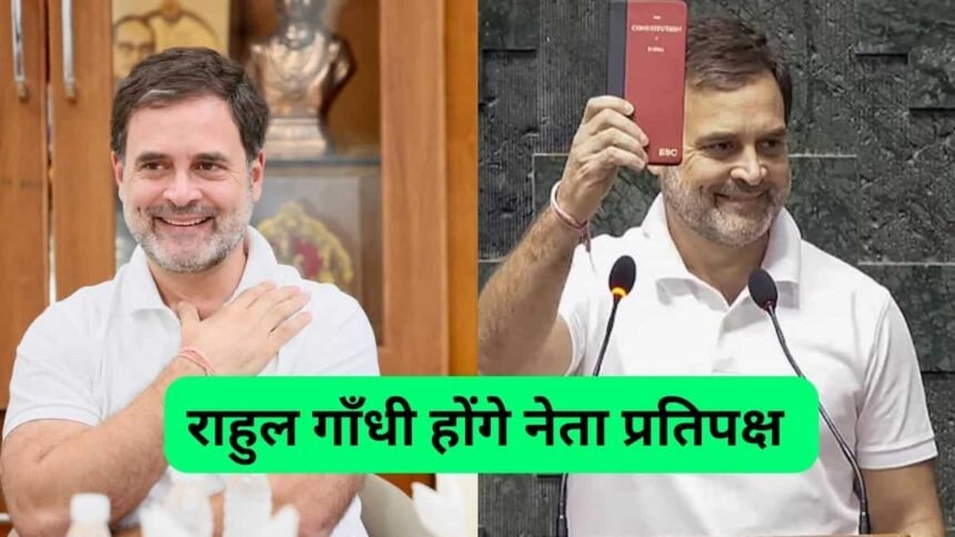 Rahul Gandhi Opposition Leader