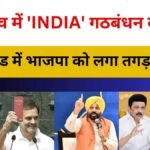 Bypoll Election Results 2024