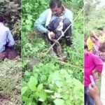 Python Attack In MP