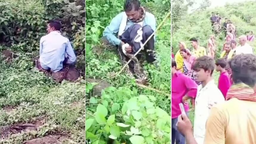 Python Attack In MP
