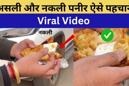 Nakli Paneer Viral Video