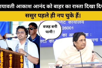 Mayawati Removed Akash Anand From All Posts