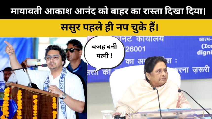 Mayawati Removed Akash Anand From All Posts